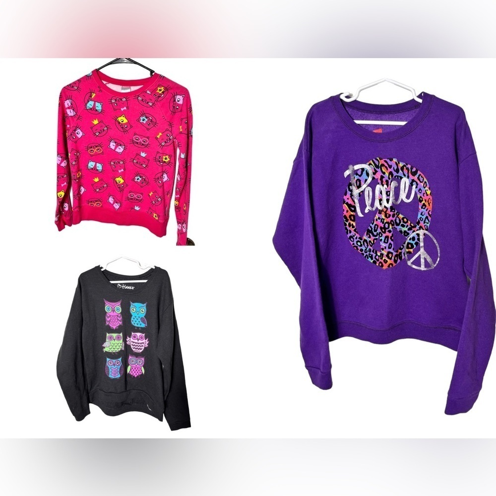 Bundle of 3 Girl’s Crewneck Graphic Sweatshirts Size 10/12 Hanes/Athletic Works